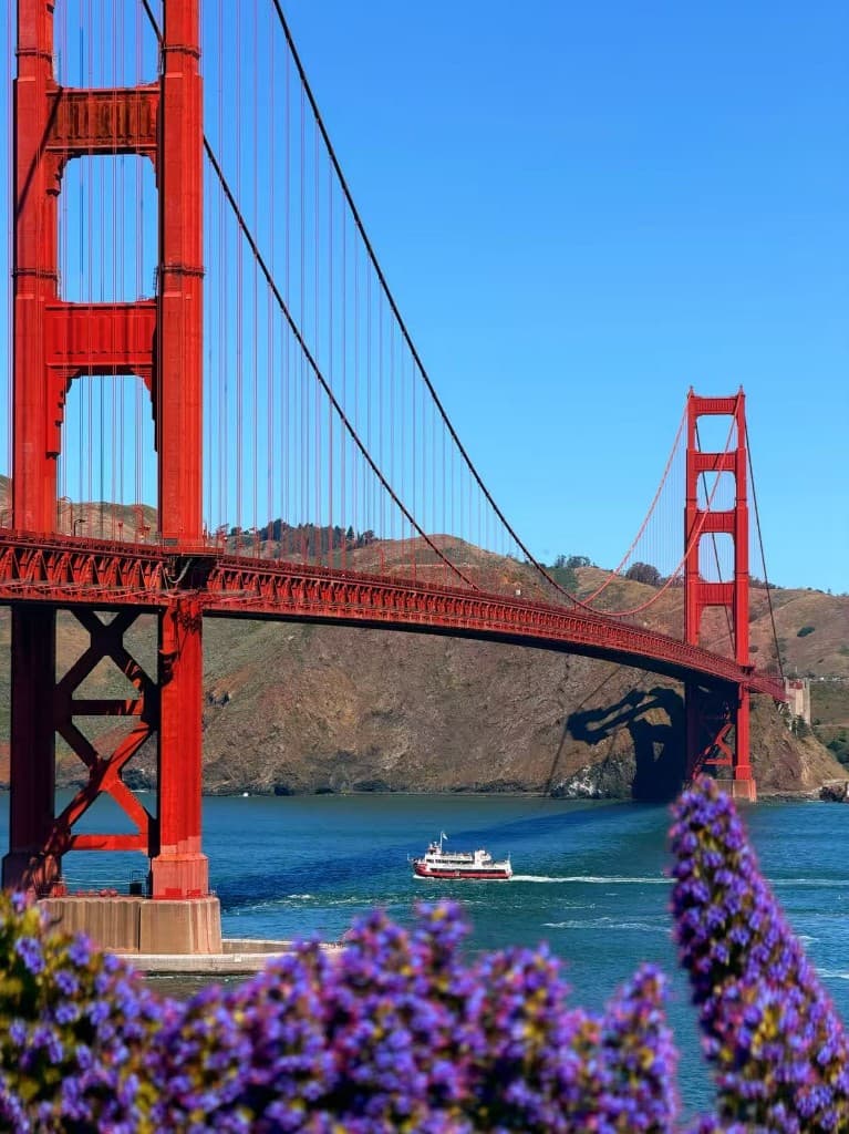 Golden Gate Bridge with purple flowers in the foreground