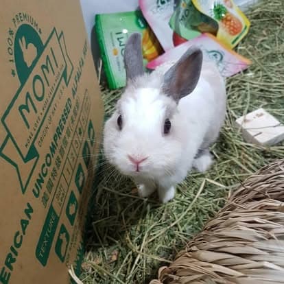 MOMI Animal Health — rabbit on hay next to MOMI alfalfa carton and colorful treat pouches at the pet show