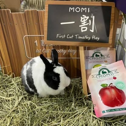 MOMI Animal Health — rabbit on Timothy hay at the booth with first-cut hay signage and product bags
