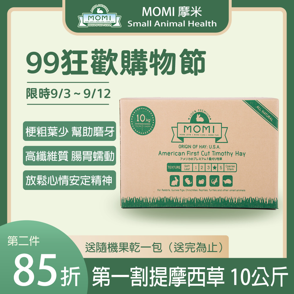 99狂歡節活動