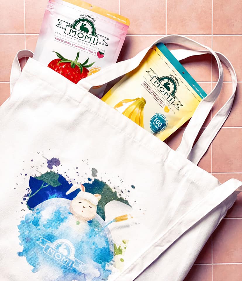 canvas-bag